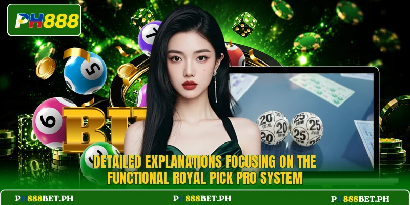 Detailed explanations focusing on the functional Royal Pick Pro system Detailed explanations focusing on the functional Royal Pick Pro system